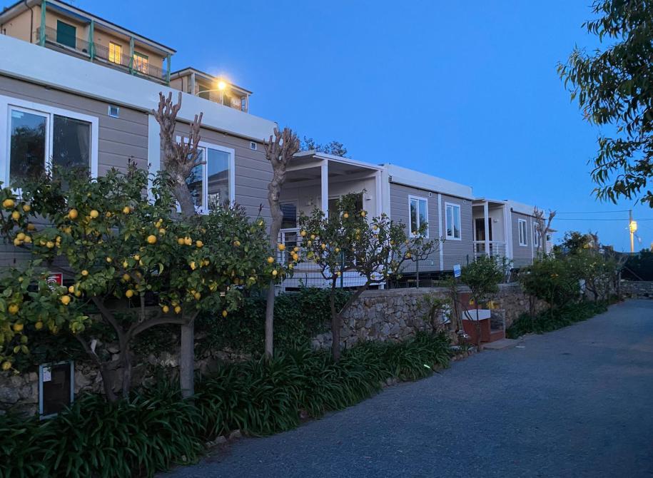 Modern homes among lemon trees at sunset, serene and welcoming atmosphere.